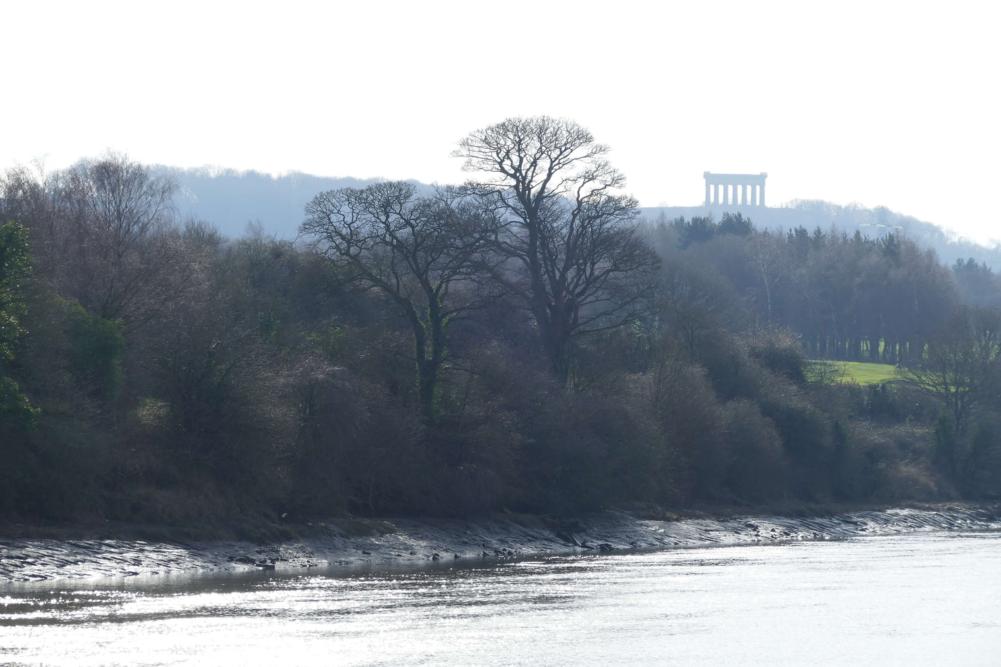 Penshaw Monument viewed from WWT Washington Wetlands, 